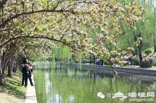 3月到5月，北京最该去的地方！[墙根网]