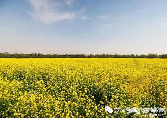 3月到5月，北京最该去的地方！[墙根网]