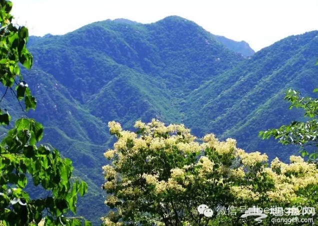 3月到5月，北京最该去的地方！[墙根网]