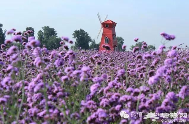 3月到5月，北京最该去的地方！[墙根网]