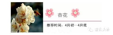 点击查看下一页