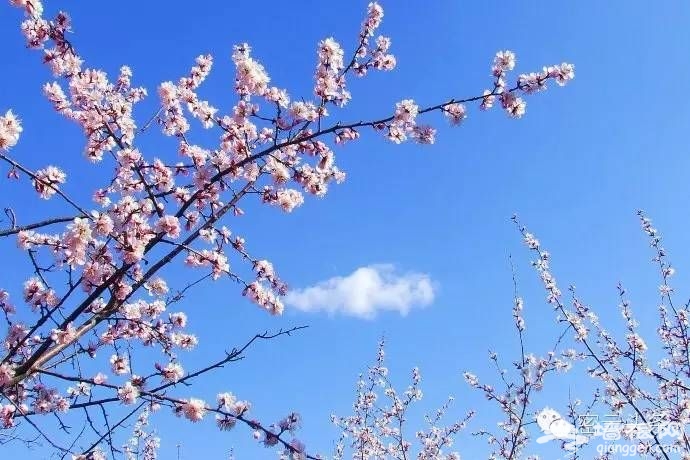 点击查看下一页