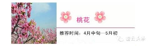 点击查看下一页