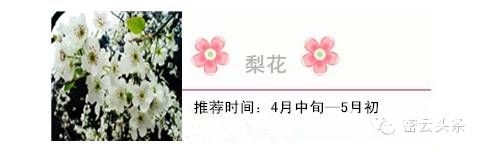 点击查看下一页