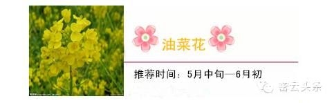 点击查看下一页