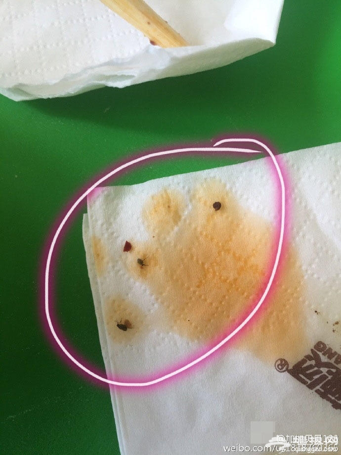 网曝大兴区一张亮麻辣烫里吃出二十几条虫[墙根网]
