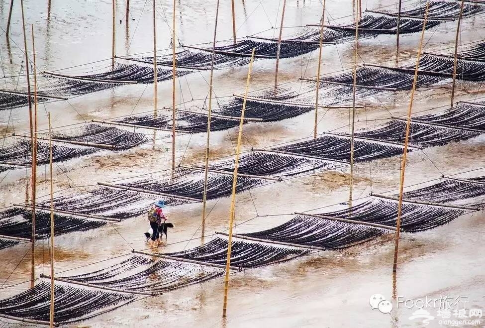 国内4月最佳寻春地 这些秘境你肯定不知道[墙根网]