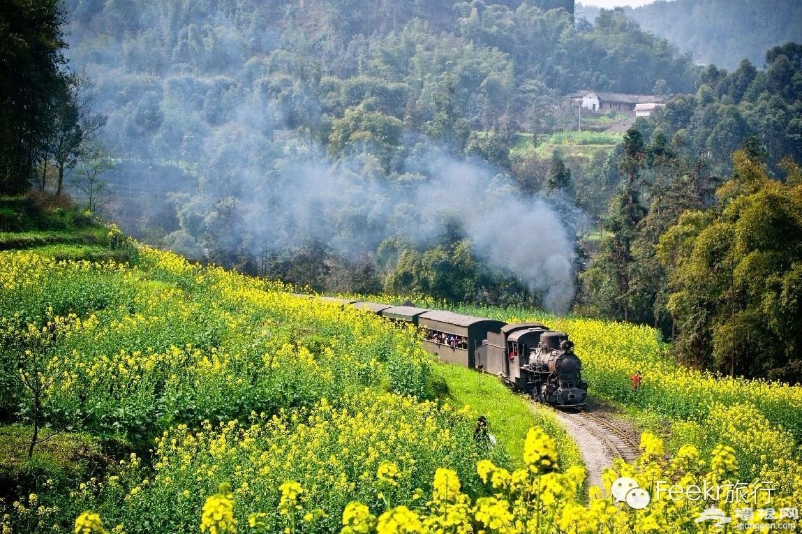 国内4月最佳寻春地 这些秘境你肯定不知道[墙根网]