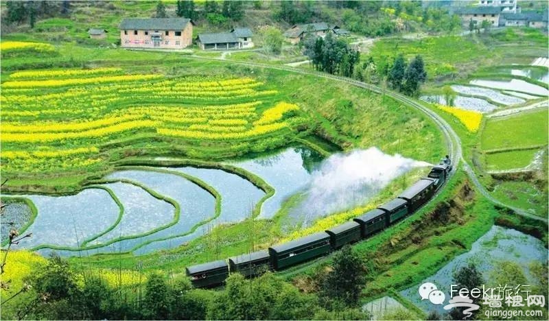 国内4月最佳寻春地 这些秘境你肯定不知道[墙根网]