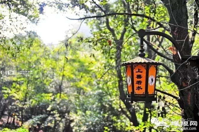 国内4月最佳寻春地 这些秘境你肯定不知道[墙根网]