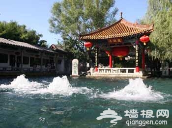 干旱少雨致济南趵突泉水位暴跌 黑虎泉三个兽首两个已经断流