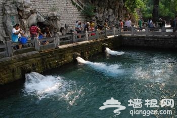 干旱少雨致济南趵突泉水位暴跌 黑虎泉三个兽首两个已经断流[墙根网]