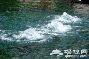 干旱少雨致济南趵突泉水位暴跌 黑虎泉三个兽首两个已经断流[墙根网]