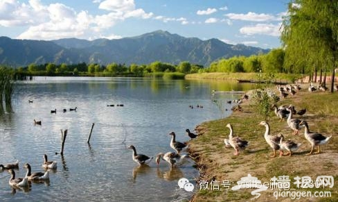 北京周边美到醉的小众景点[墙根网]