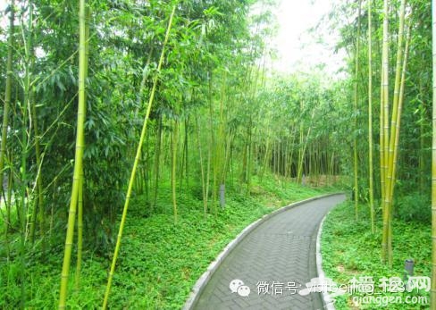 北京周边美到醉的小众景点[墙根网]