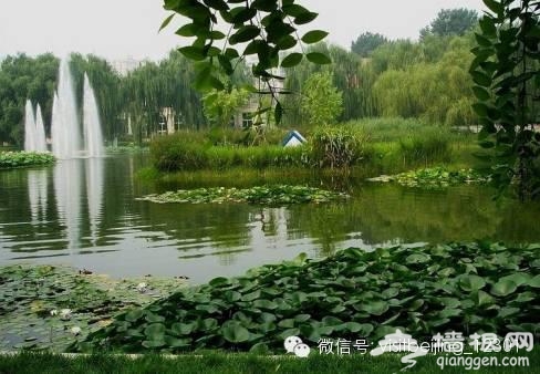 北京周边美到醉的小众景点[墙根网]