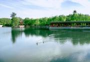 百花争妍春光好 丰台踏青正当时——2019踏青赏花季 丰台旅游邀您来