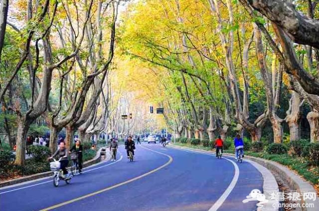 北京最美的春天，在昌平这7条公路上[墙根网]