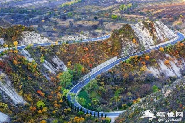 北京最美的春天，在昌平这7条公路上[墙根网]