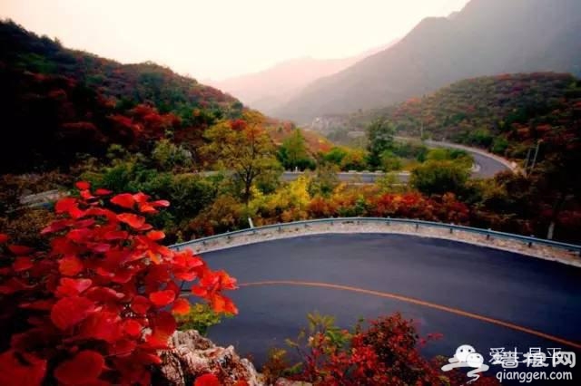 北京最美的春天，在昌平这7条公路上[墙根网]