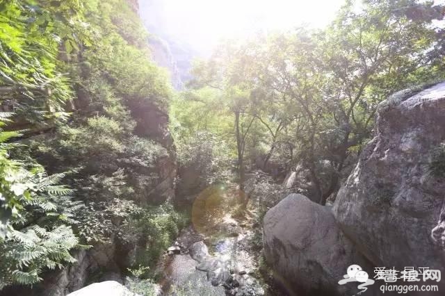 北京最美的春天，在昌平这7条公路上[墙根网]