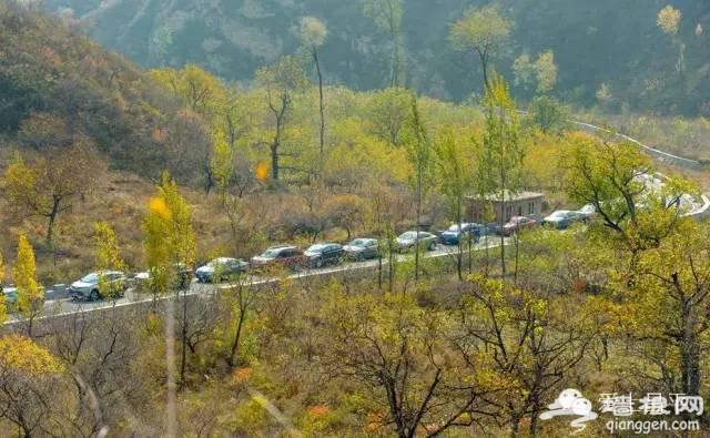 北京最美的春天，在昌平这7条公路上[墙根网]