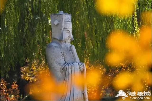 北京最美的春天，在昌平这7条公路上[墙根网]