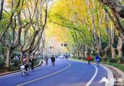 北京最美的春天，在昌平这7条公路上