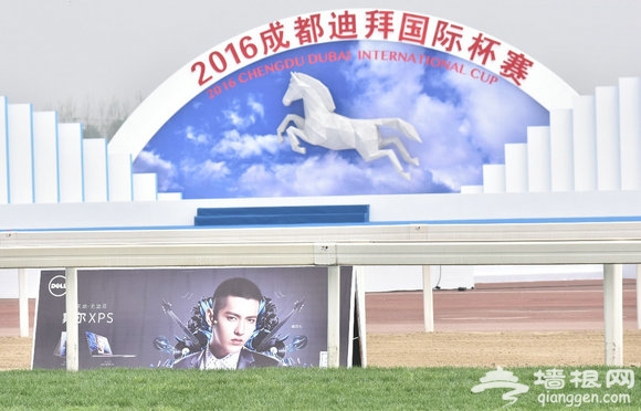 时尚、音乐和赛马，还有什么XPS不能做？[墙根网]