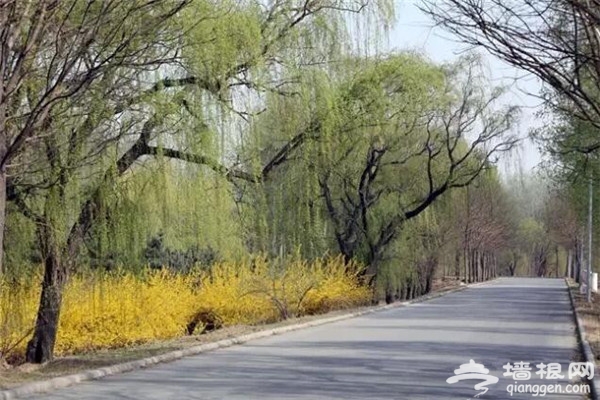重磅！春季通州骑游十二条特色线路推出[墙根网]