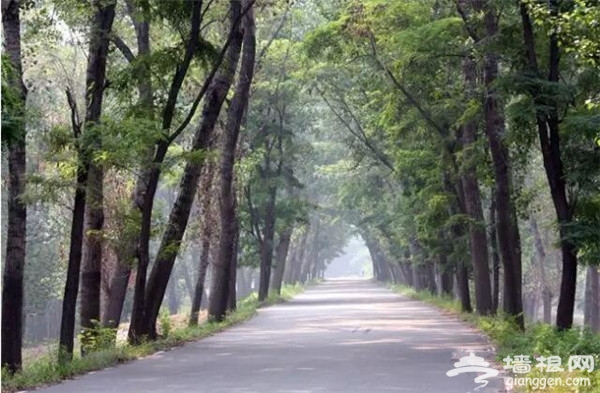 重磅！春季通州骑游十二条特色线路推出[墙根网]