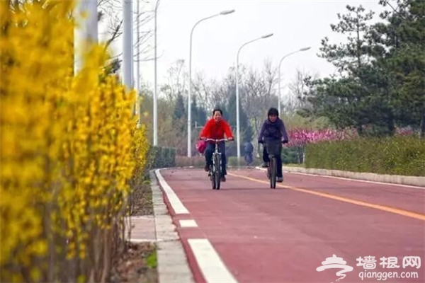 重磅！春季通州骑游十二条特色线路推出[墙根网]