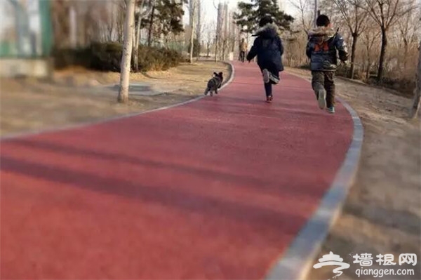 重磅！春季通州骑游十二条特色线路推出[墙根网]