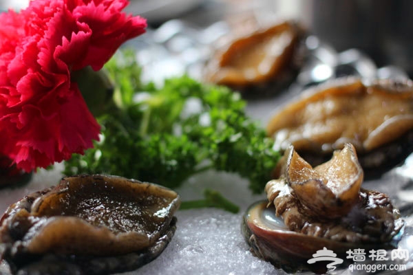 七彩海鲜 从蓬莱火到北京的海鲜锅[墙根网]