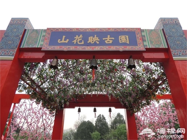 京城最晚的赏花节：2016年香山山花季[墙根网]