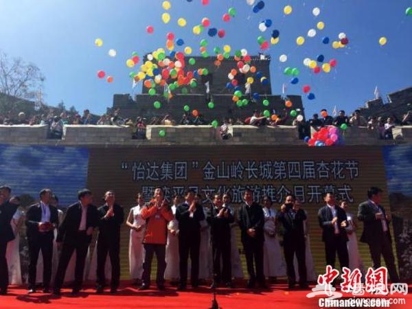 长城杏花节开幕 开放时间为4天将迎来大批海内外游客