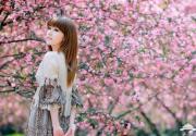 2016年平谷桃花音乐节20项系列活动汇总