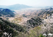 别去居庸关闯关了 悄悄告诉你京郊还有桃花盛开的地方