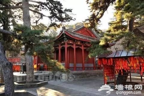 2016年北京戒台寺第二十届丁香节[墙根网]