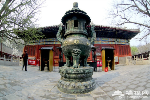 京城花海如烟 已成醉美风景[墙根网]