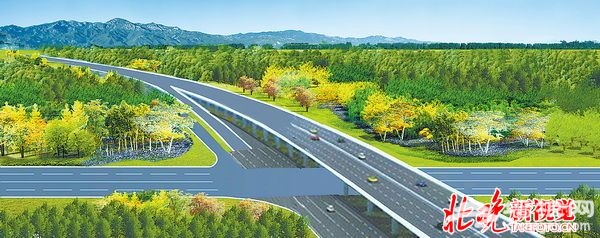 北京5.5公里世园大道景观开建 18万株树种出五大景观