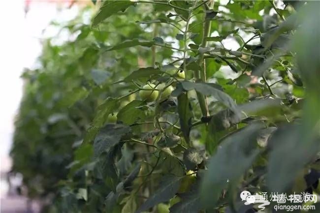点击查看下一页