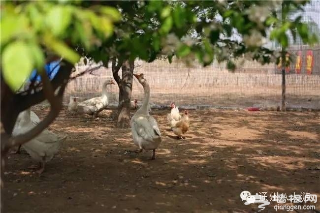 点击查看下一页