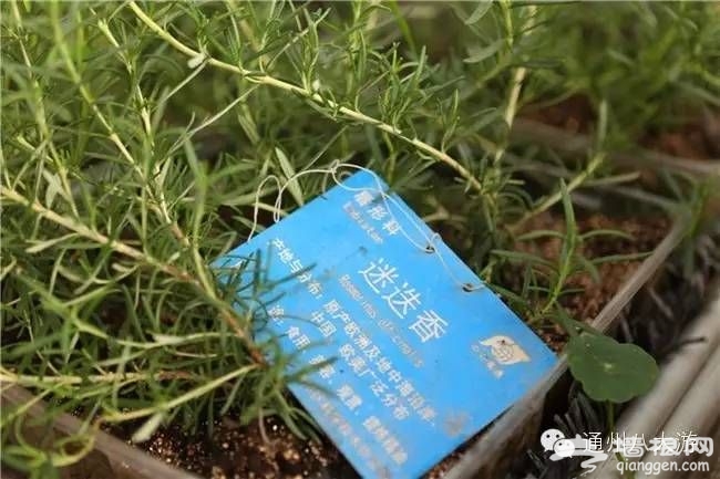 点击查看下一页