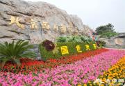 2016年北京西山国家森林公园第三届牡丹文化节