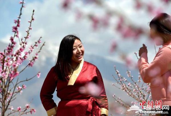 4月23日，拉萨市城关区首届桃花林卡节开幕。身着藏装踏青赏花的市民。李林