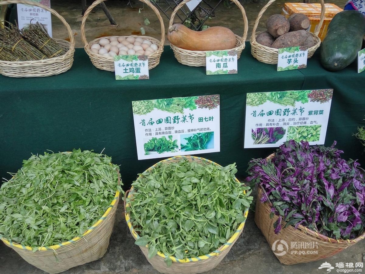 美女穿“野菜装”上街巡游引围观[墙根网]