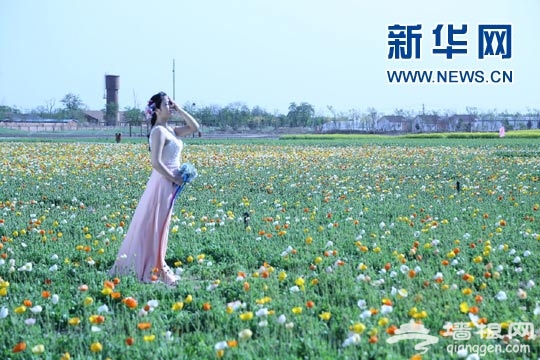 2016 北京国际风筝节 ——首农·紫谷伊甸园放飞表演举行[墙根网]