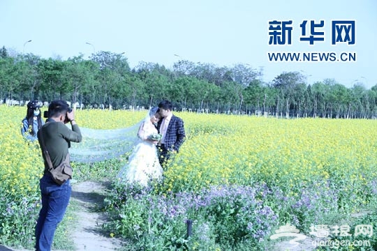2016 北京国际风筝节 ——首农·紫谷伊甸园放飞表演举行[墙根网]
