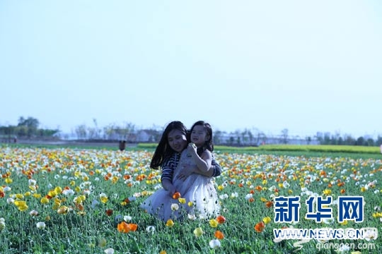 2016 北京国际风筝节 ——首农·紫谷伊甸园放飞表演举行[墙根网]